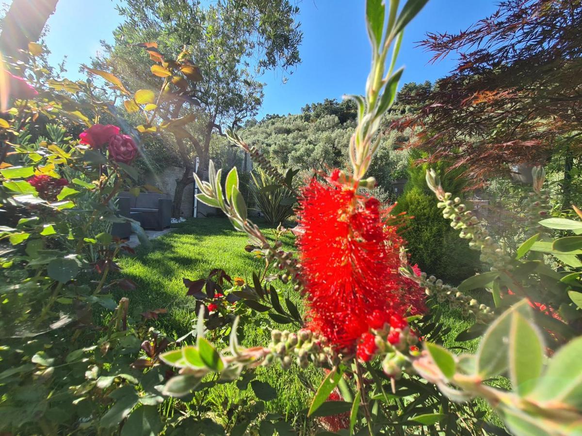 The Garden Villa Volastra Bagian luar foto