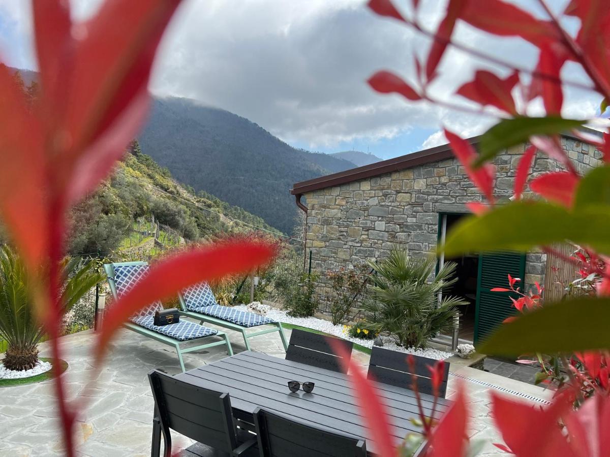 The Garden Villa Volastra Bagian luar foto
