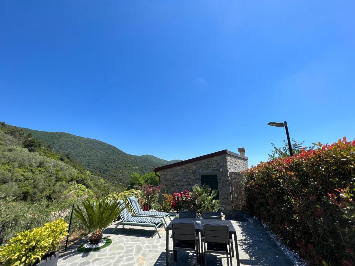 The Garden Villa Volastra Bagian luar foto