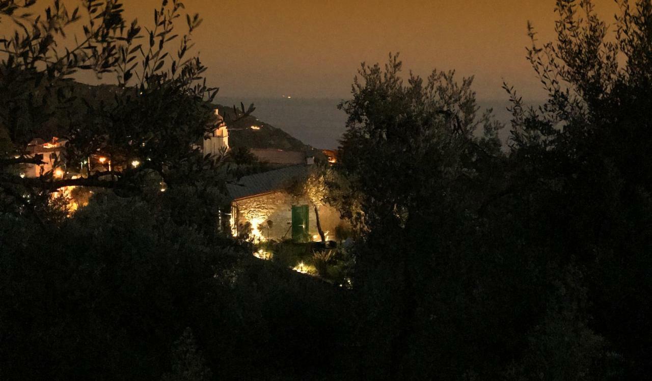 The Garden Villa Volastra Bagian luar foto