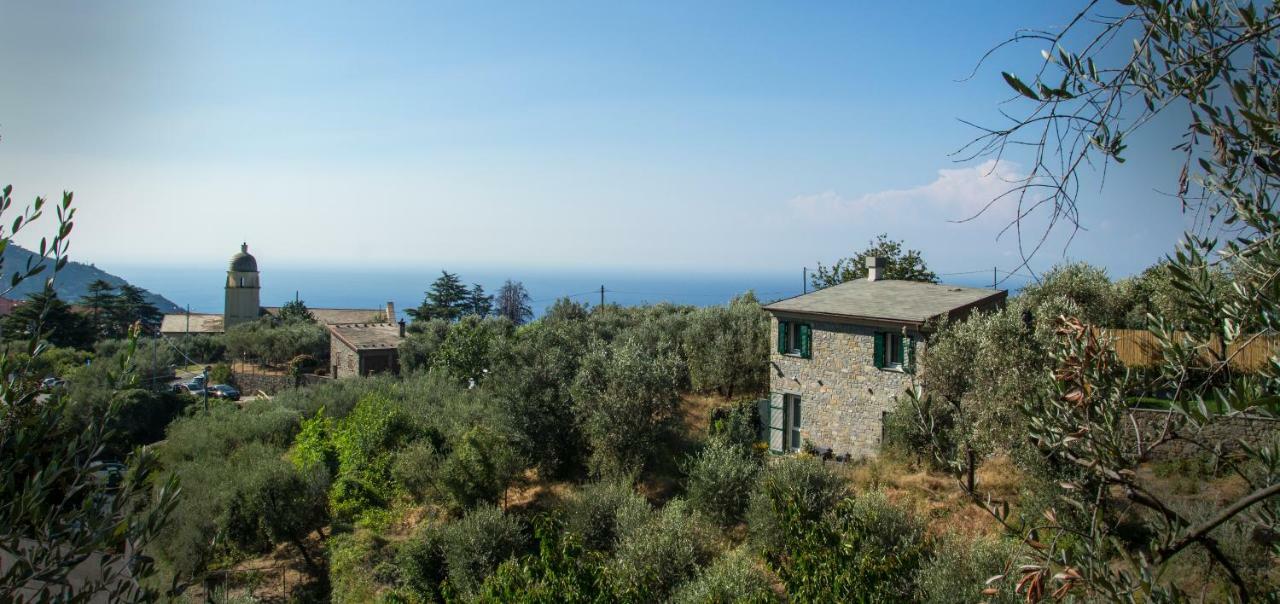 The Garden Villa Volastra Bagian luar foto