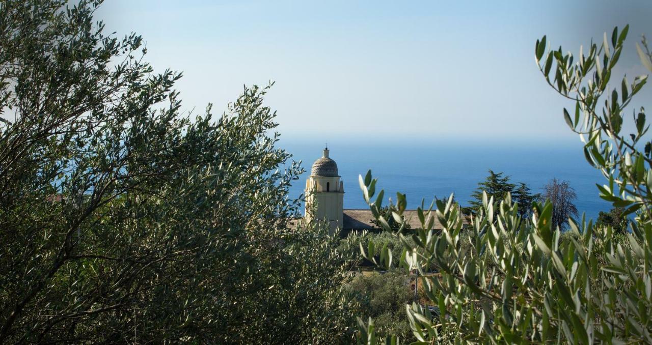 The Garden Villa Volastra Bagian luar foto